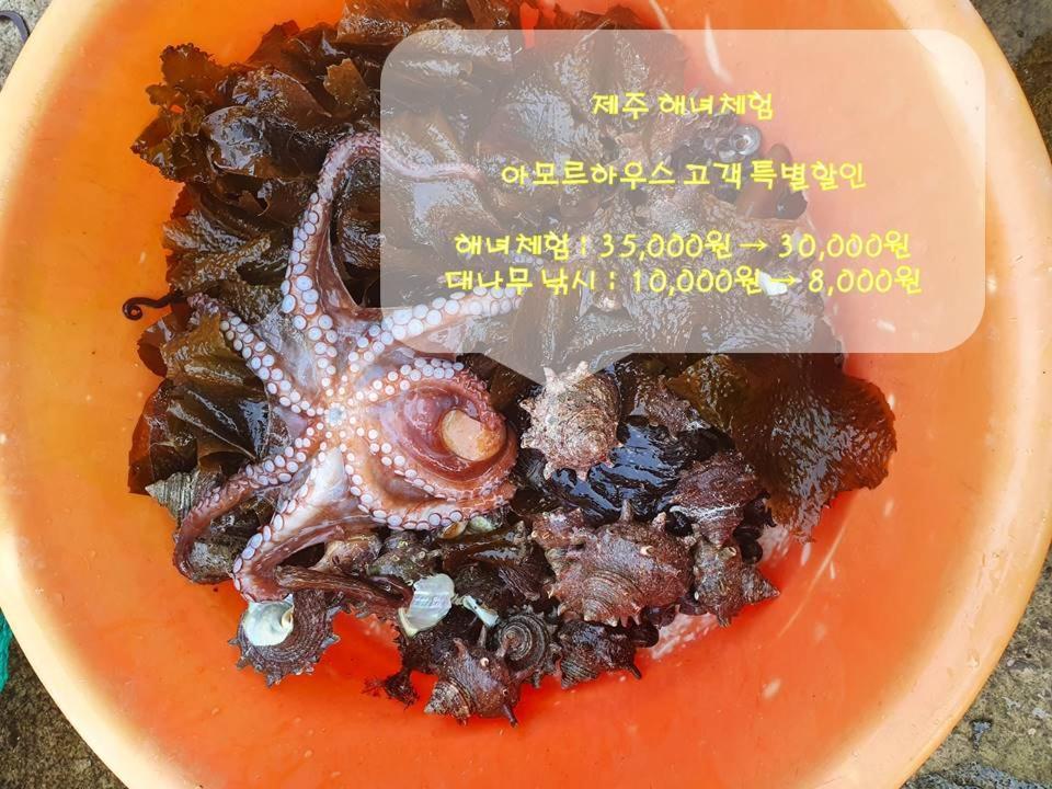 호텔 아모르 하우스 제주 외부 사진